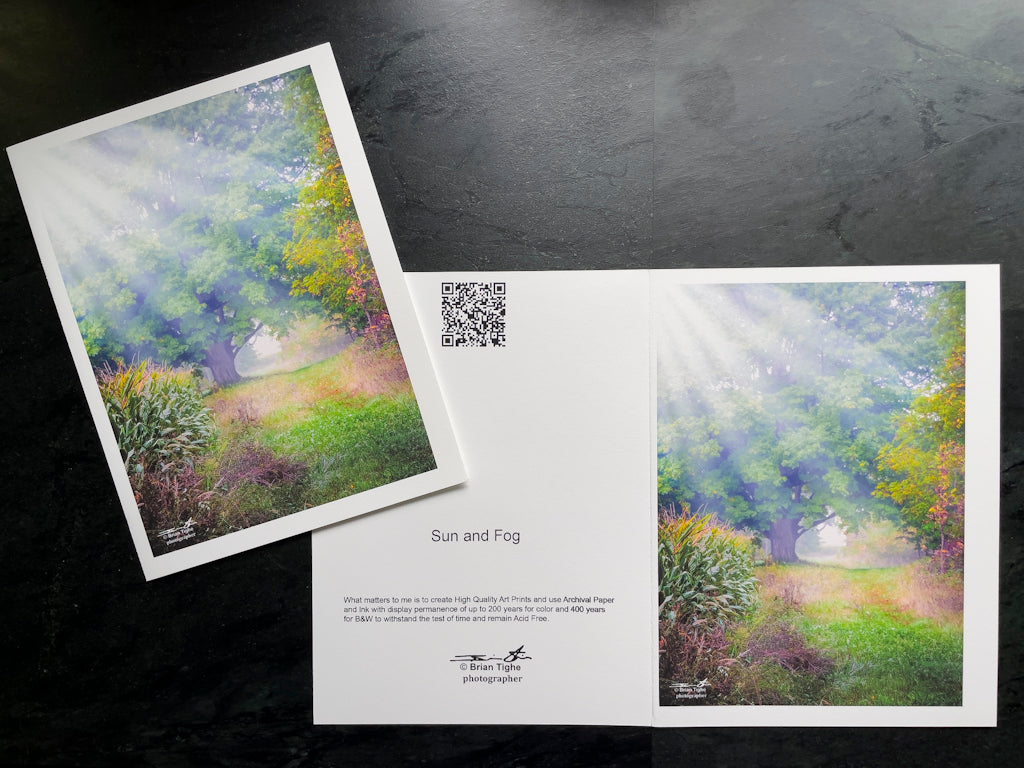 Sun and Fog Greeting Card