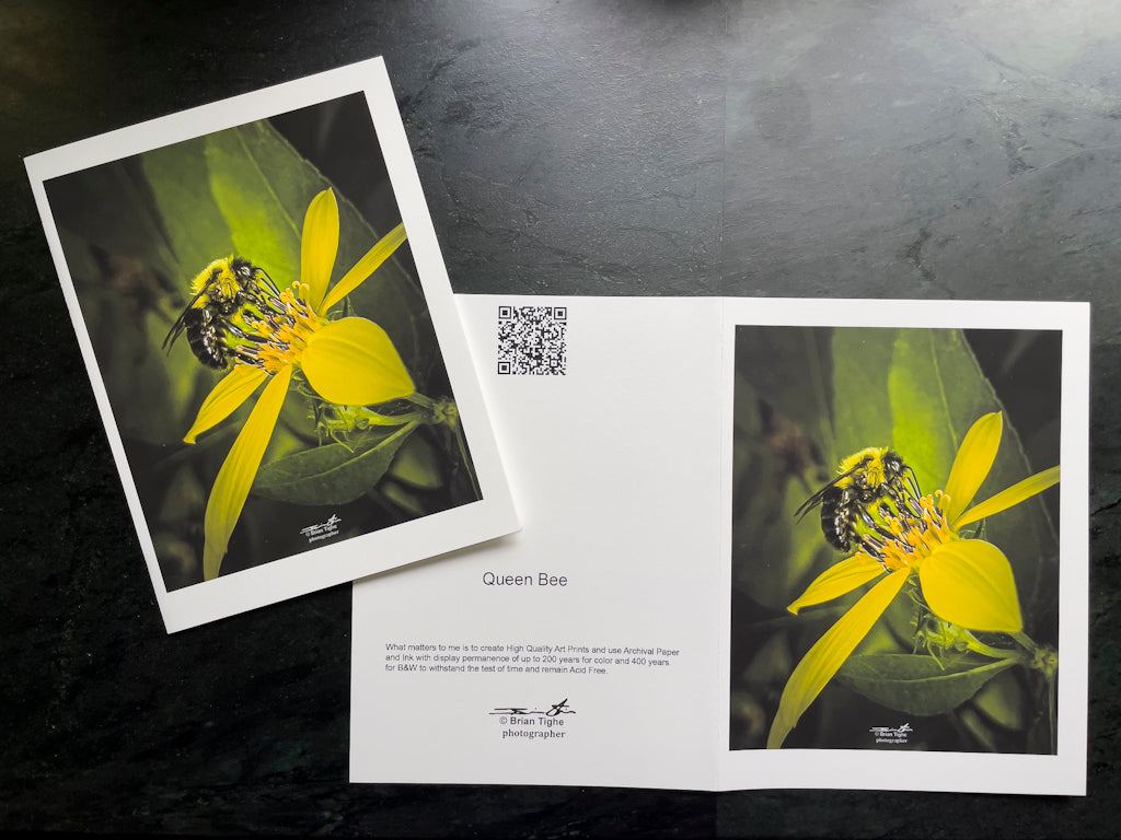 Queen Bee Greeting Card