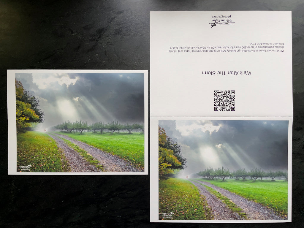 Walk After The Storm Greeting Card