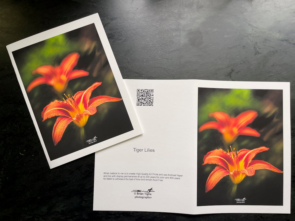 tiger lily paper Tiger Lilies Greeting Cards – briantighe