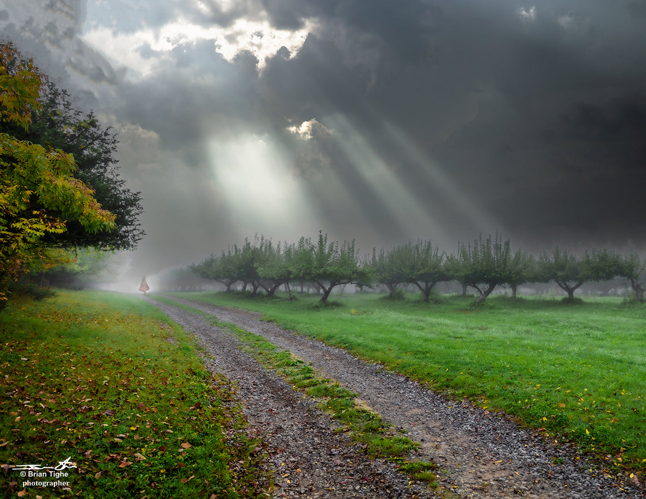 Walk After The Storm