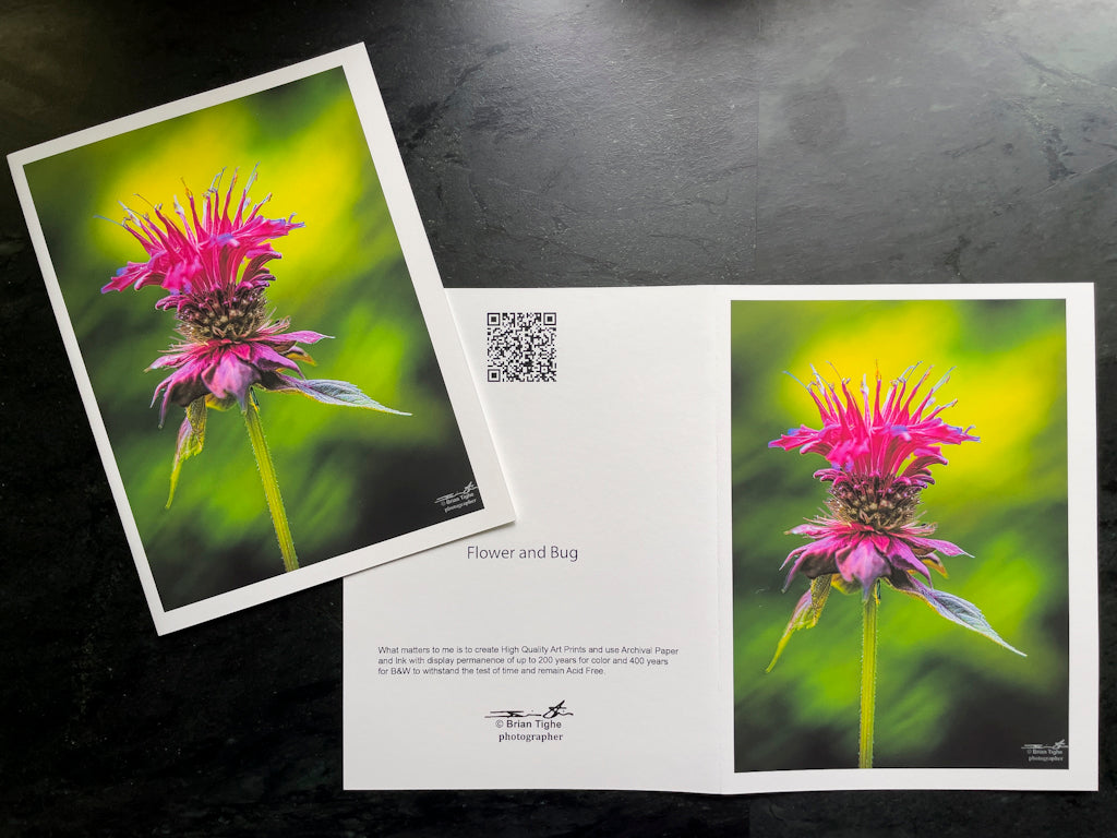 Flower & Bug Greeting Card