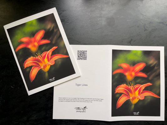 Tiger Lilies Greeting Cards