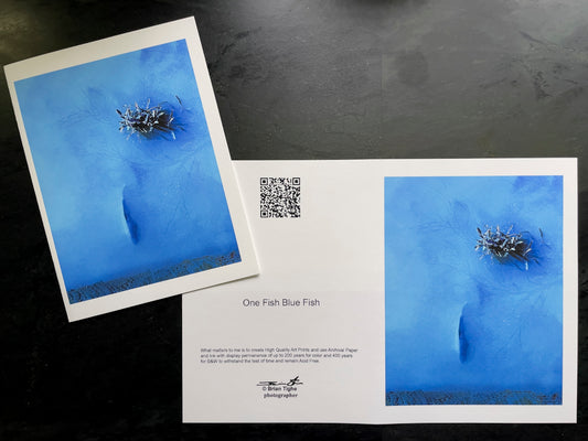 One Fish Blue Fish Greeting Card